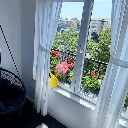 33 Coquette Apartment Baia Mare Dış mekan fotoğraf