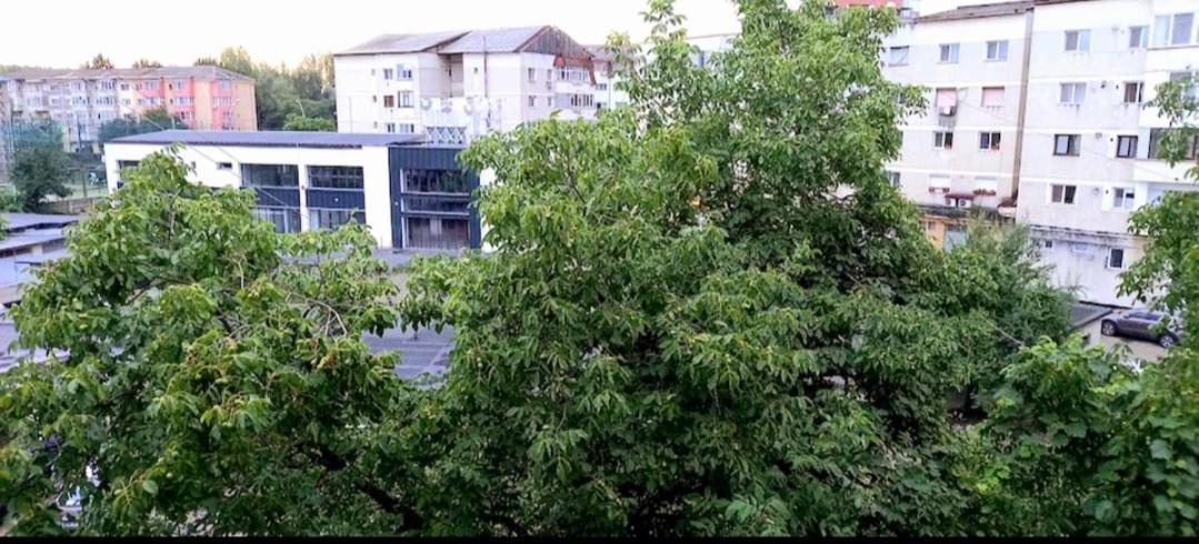33 Coquette Apartment Baia Mare Dış mekan fotoğraf