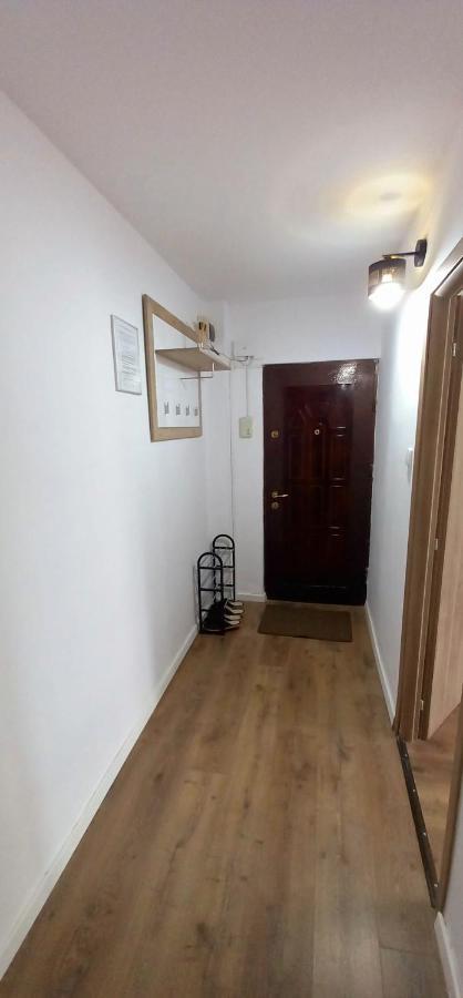 33 Coquette Apartment Baia Mare Dış mekan fotoğraf