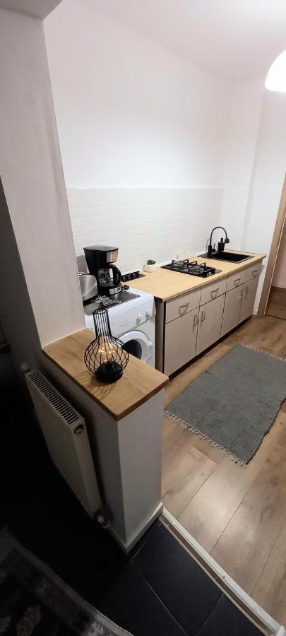 33 Coquette Apartment Baia Mare Dış mekan fotoğraf