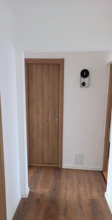 33 Coquette Apartment Baia Mare Dış mekan fotoğraf