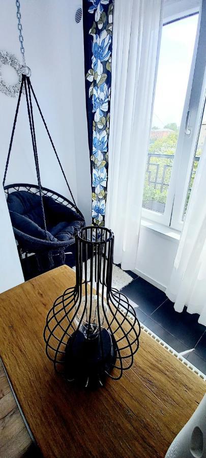 33 Coquette Apartment Baia Mare Dış mekan fotoğraf