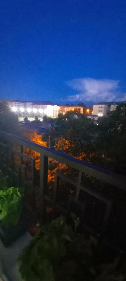 33 Coquette Apartment Baia Mare Dış mekan fotoğraf
