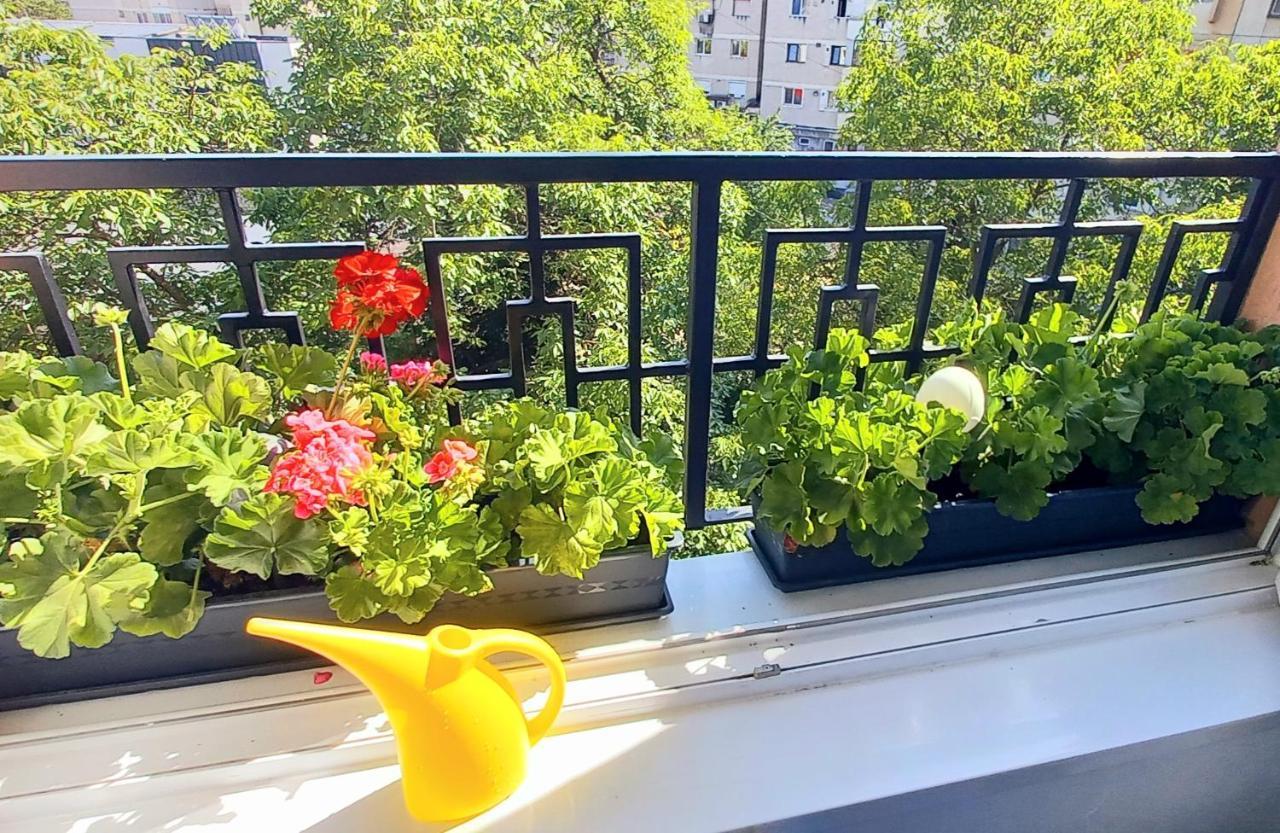 33 Coquette Apartment Baia Mare Dış mekan fotoğraf