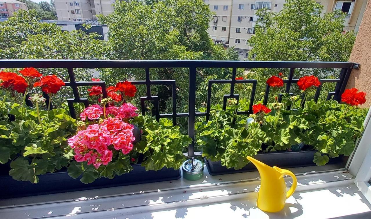 33 Coquette Apartment Baia Mare Dış mekan fotoğraf