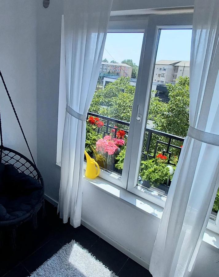 33 Coquette Apartment Baia Mare Dış mekan fotoğraf