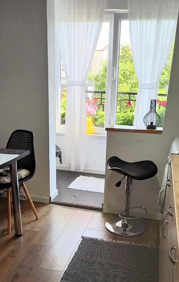 33 Coquette Apartment Baia Mare Dış mekan fotoğraf