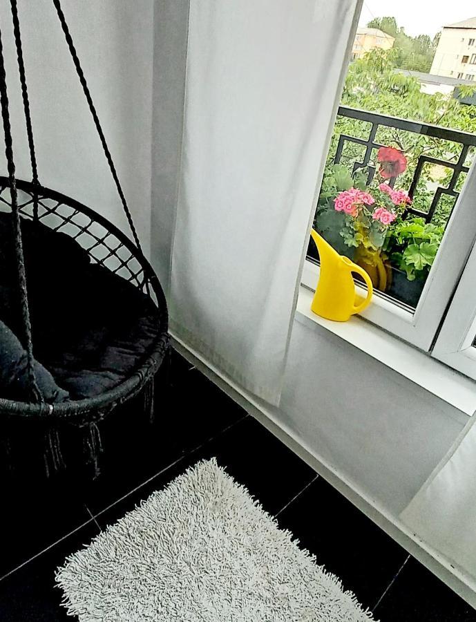 33 Coquette Apartment Baia Mare Dış mekan fotoğraf