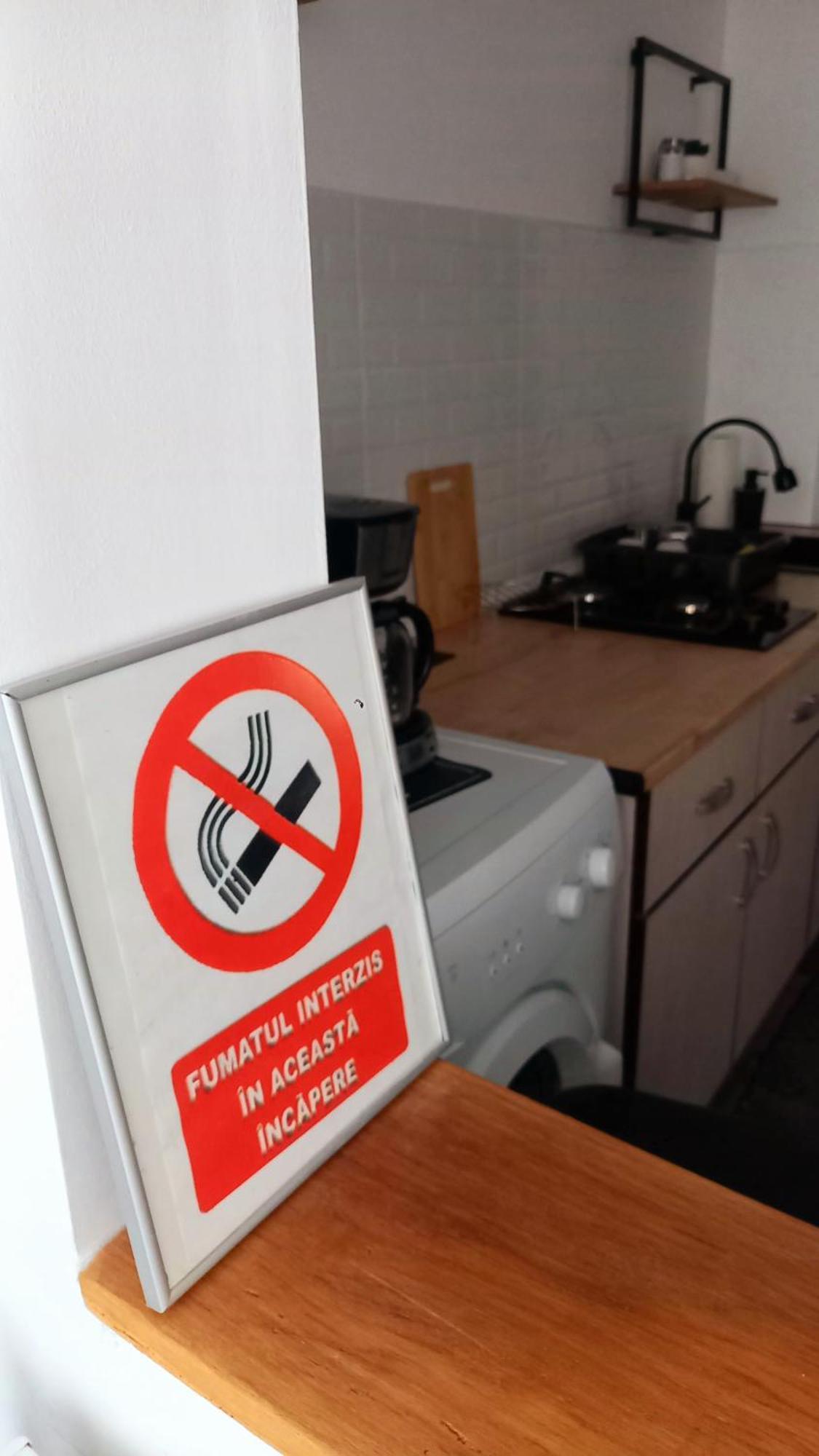 33 Coquette Apartment Baia Mare Dış mekan fotoğraf