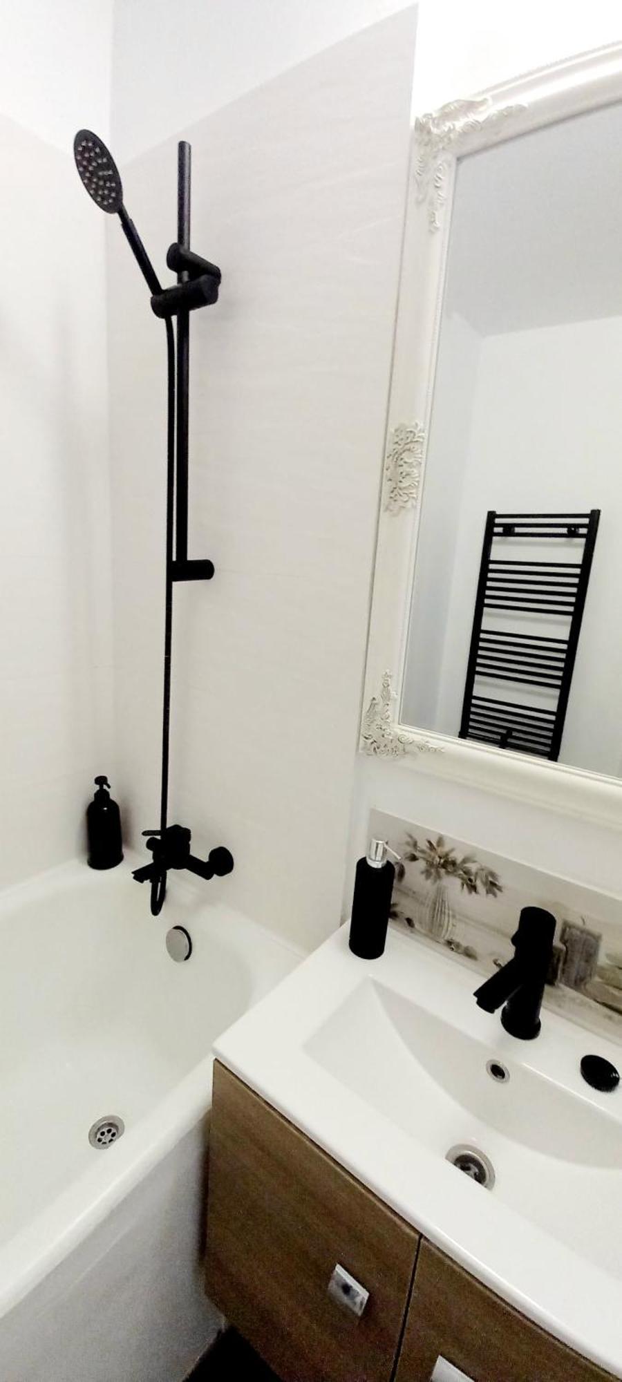33 Coquette Apartment Baia Mare Dış mekan fotoğraf